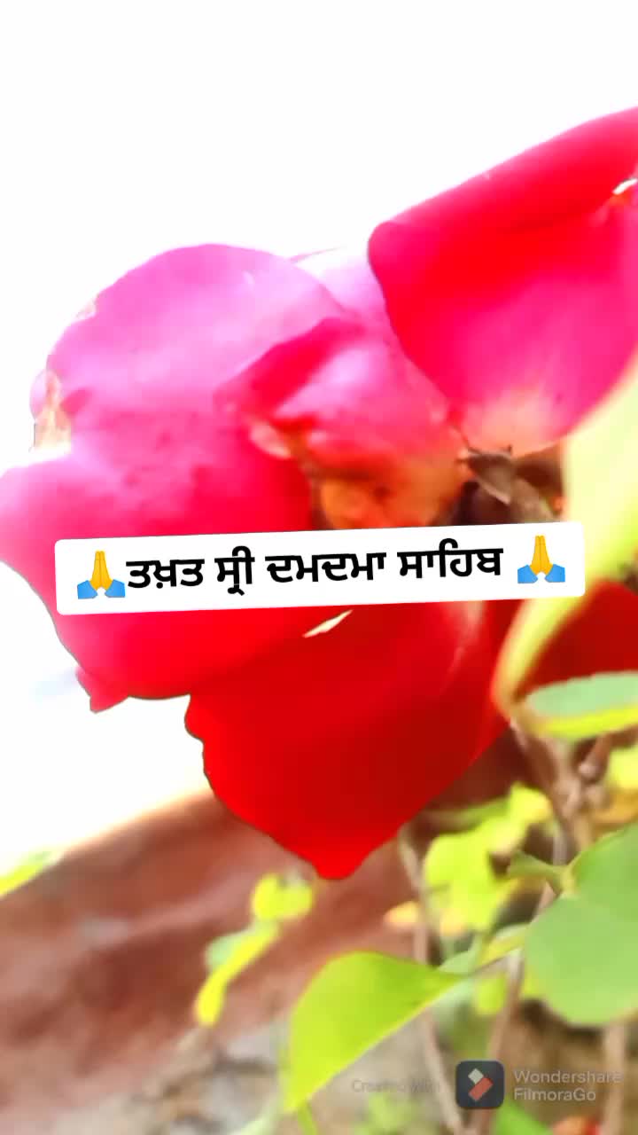 @@officiallove13243