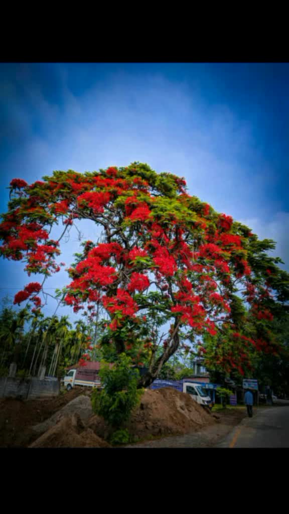 @Runjun_Nath