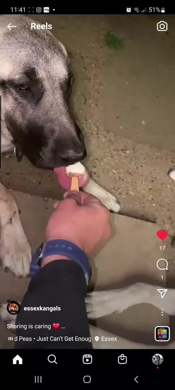 @essexkangals