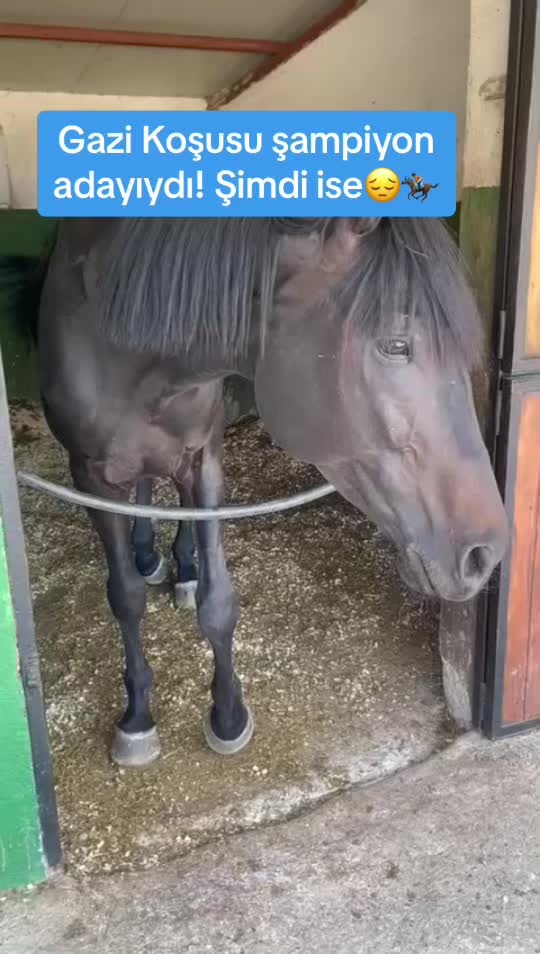 @Koşturan TV