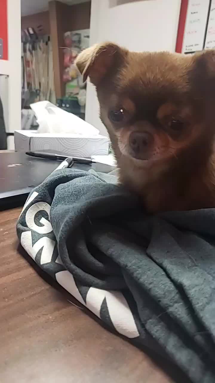 @JK