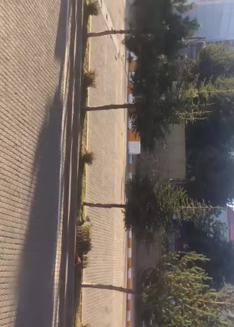 @Şahin Ilkbahar