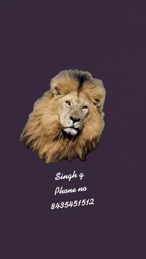 @Mayank singh
