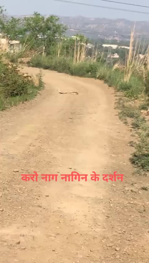 @AmaRNATH