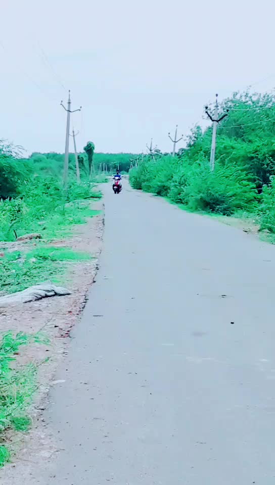 @Sunil Doti