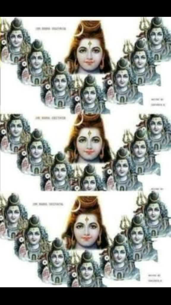 @Sunil Bhadu Bishnoi