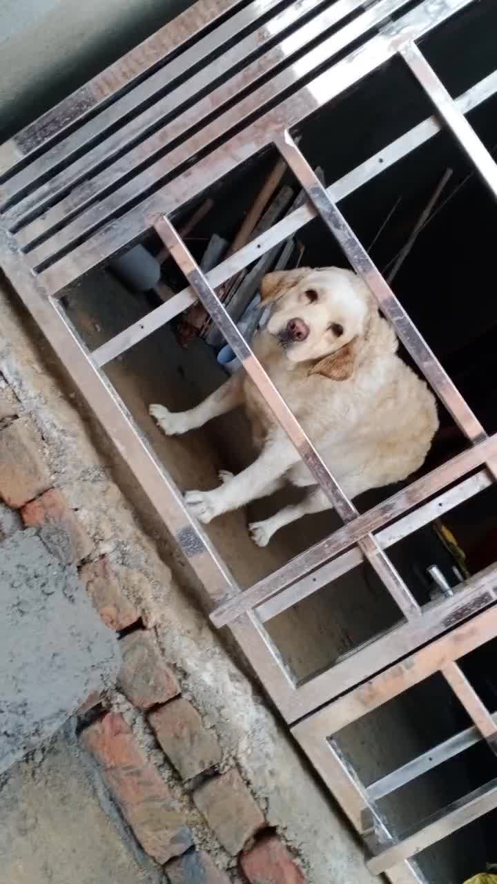 @jai ho baba ki
