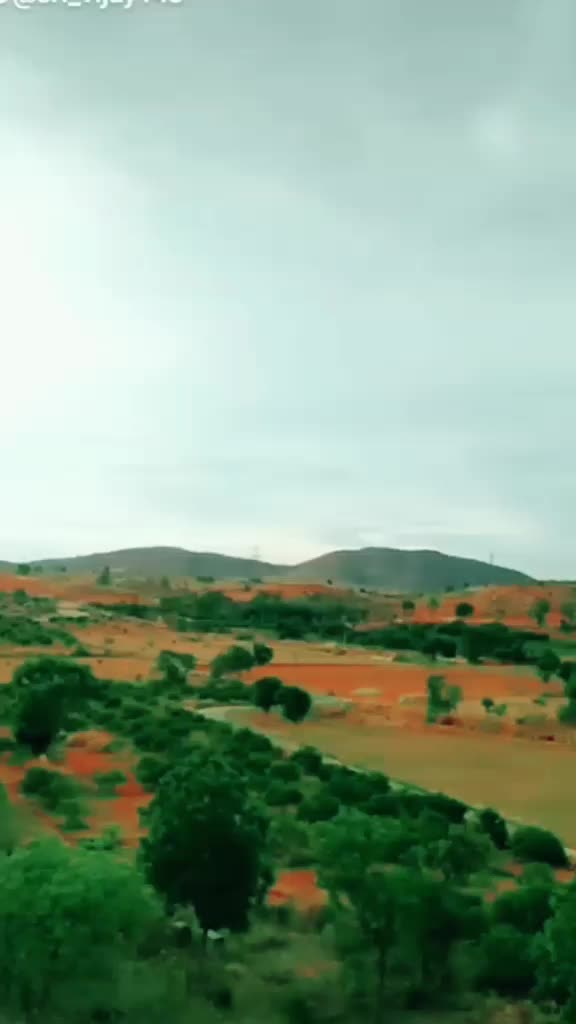 @vijay_kumar_1439