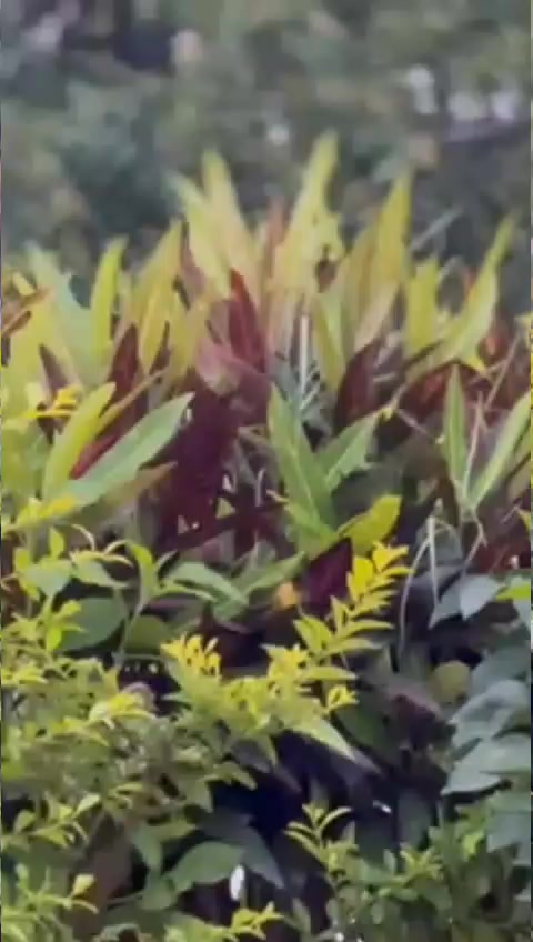 @๐๐ง ๐๐๐๐๐๐๐ชโ๐คโ๏ธ
