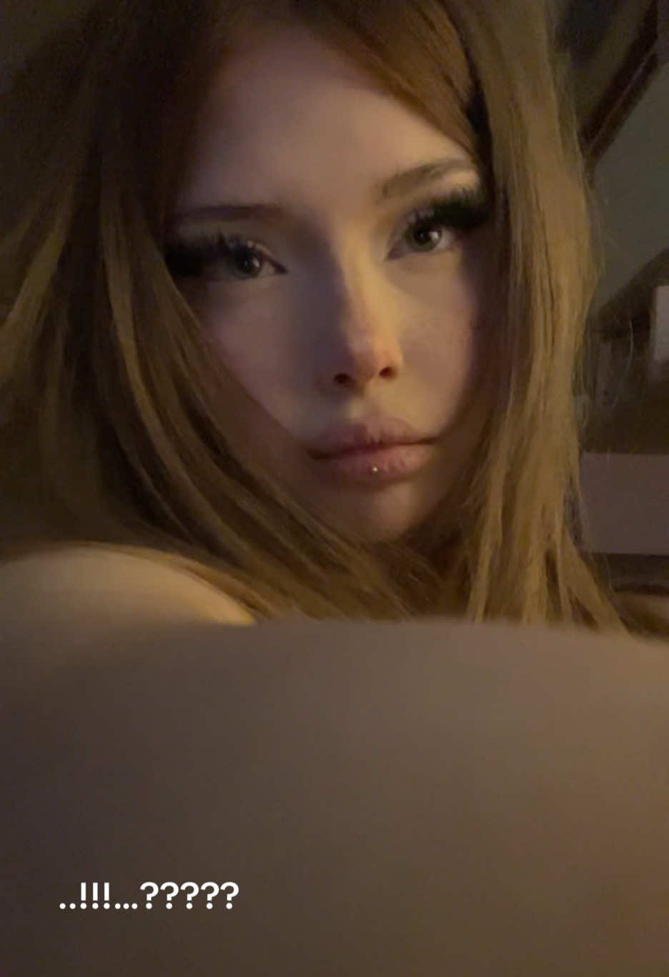 @westvett1