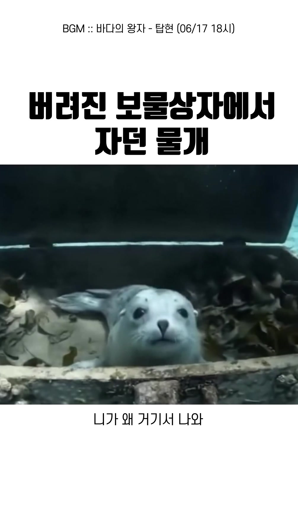 @MU___PD