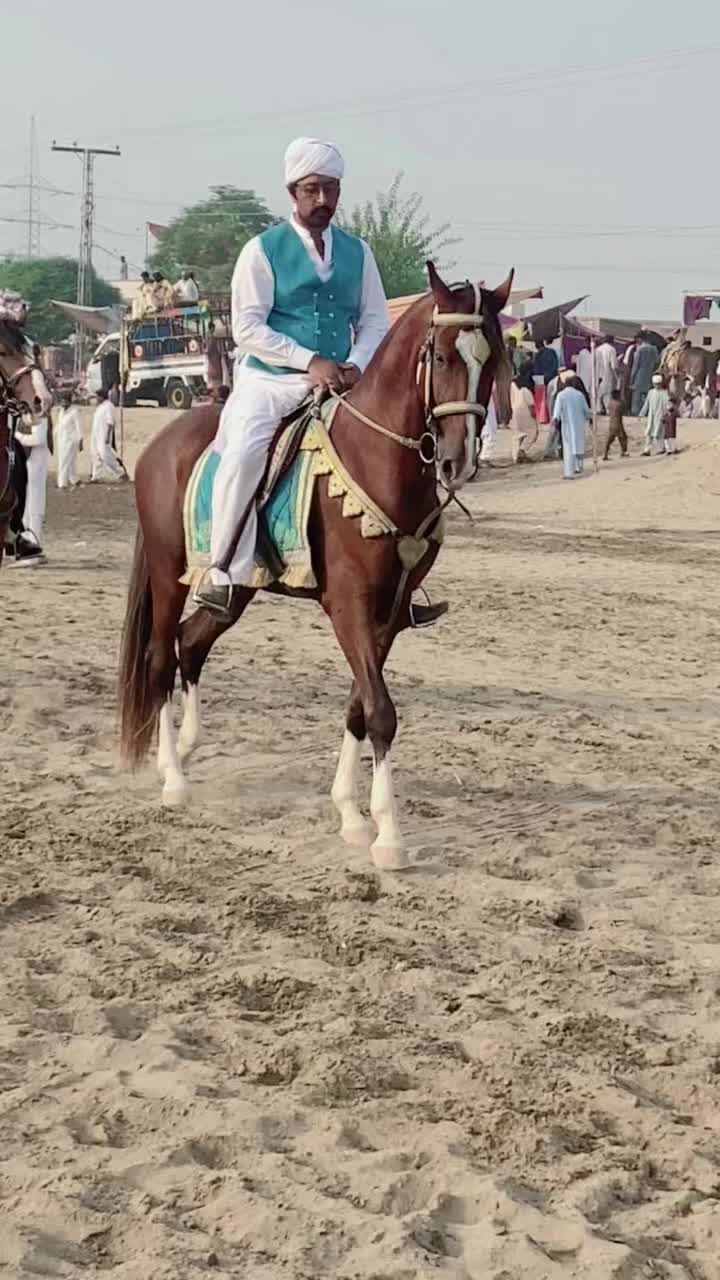 @Malik Ali Abbas Saggu🔥