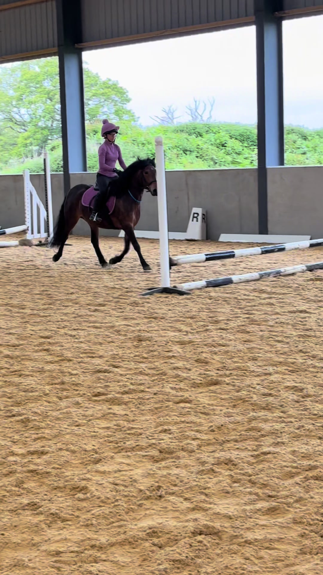 @Freya_horses
