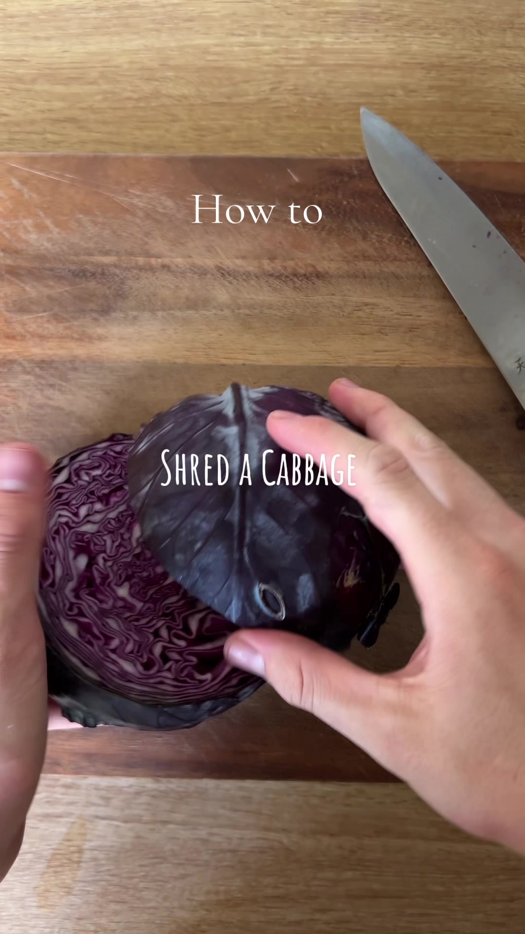 @foodwithforest