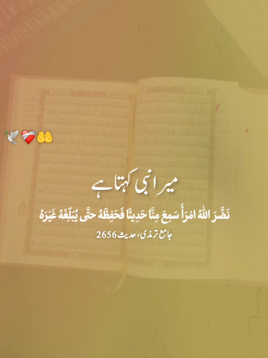 @𝐒𝐀𝐐𝐈𝐁 𝐄𝐃𝐈𝐓𝐒✨️