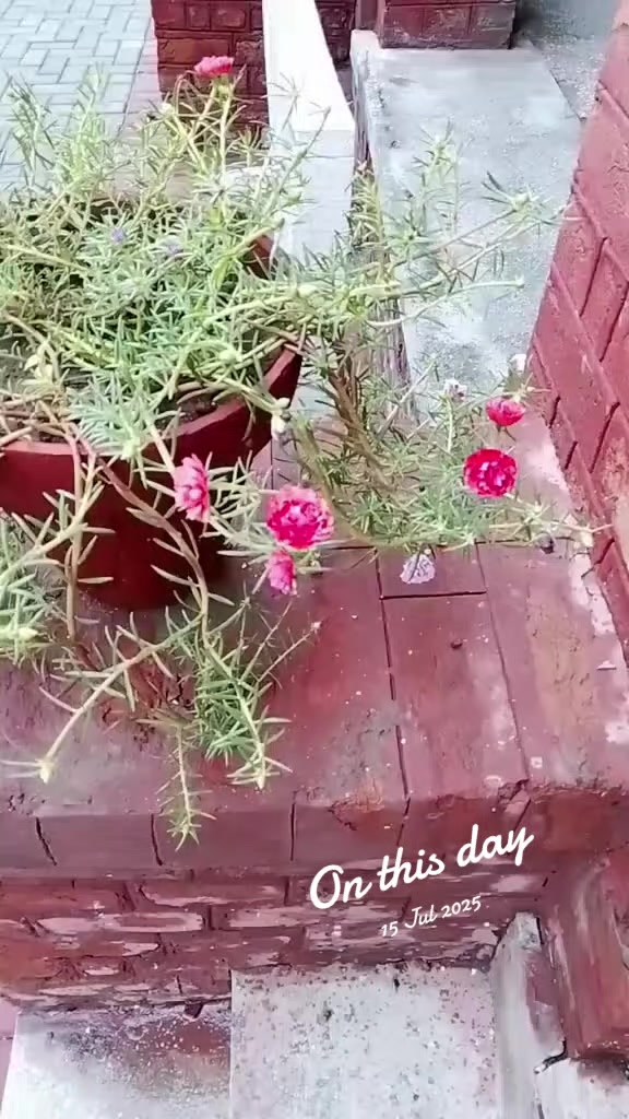 @پنجابی کُڑی