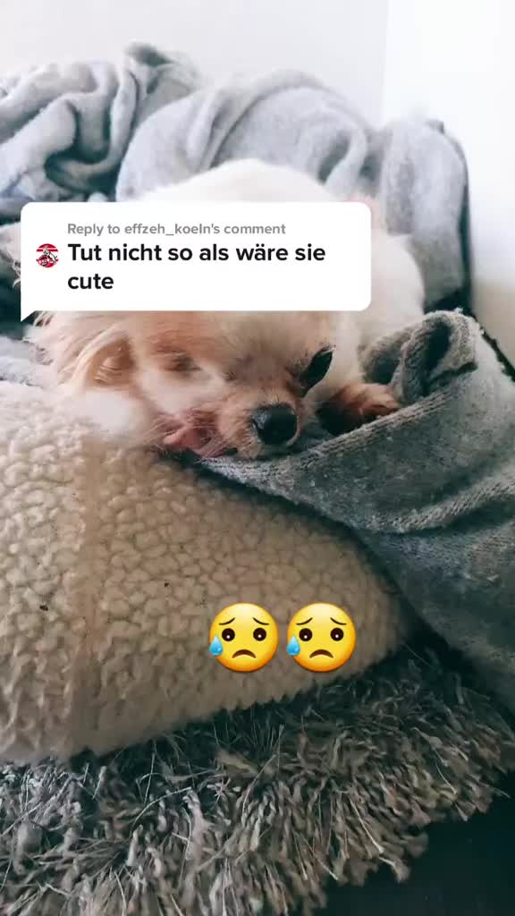 @E.m.m.a 🐶 ❤️