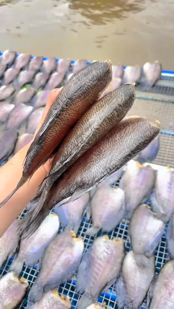 @Quốc Kh&aacute;nh