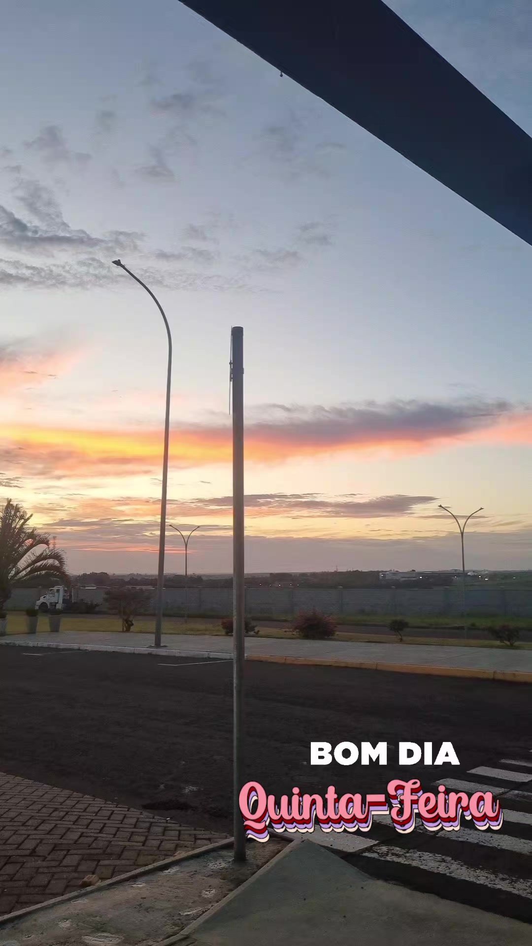 @meirecastilho932