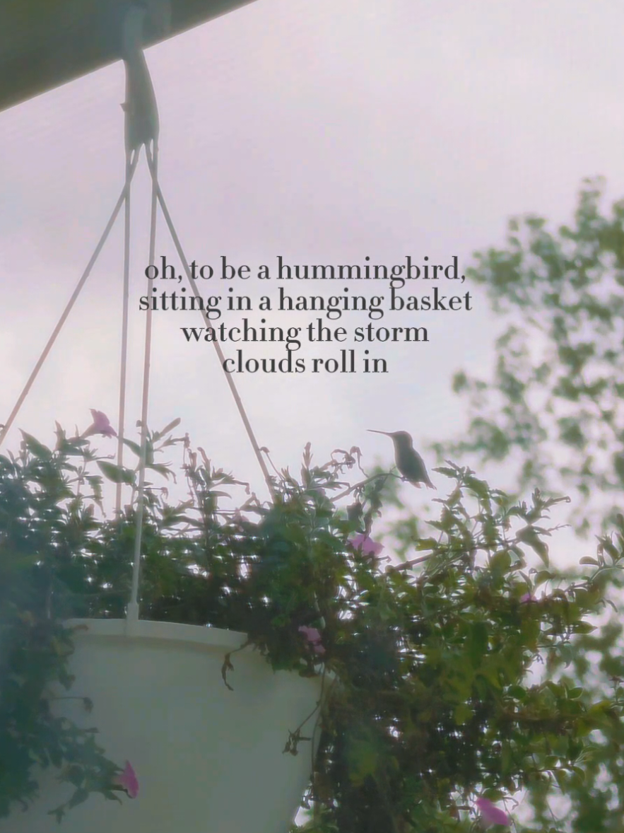 @jacqueline | making homestead