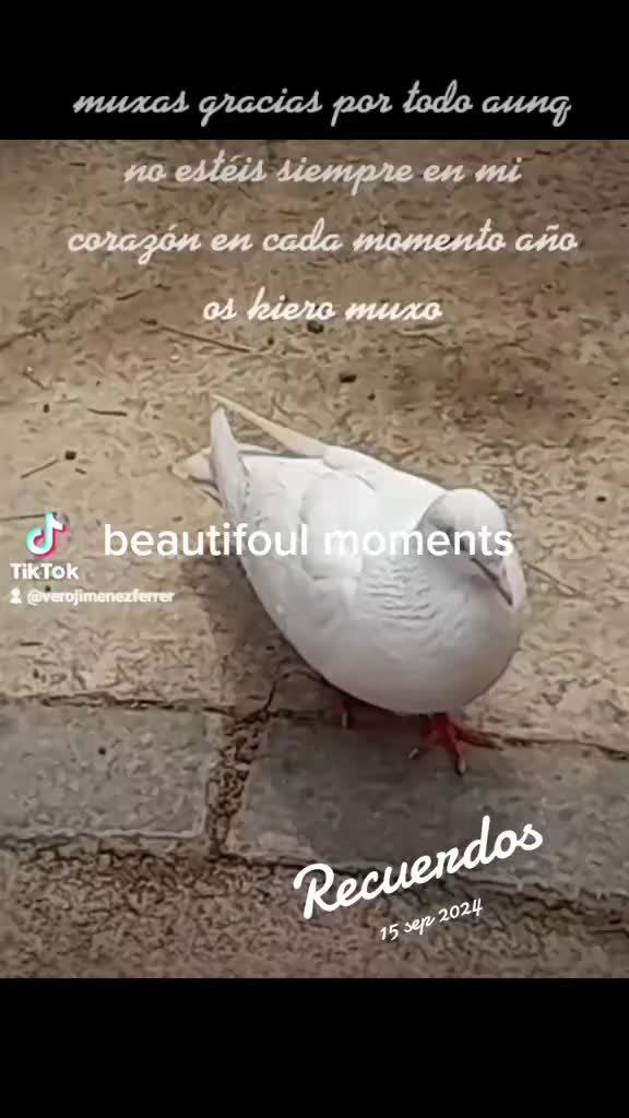@Vero Jimenez Ferrer