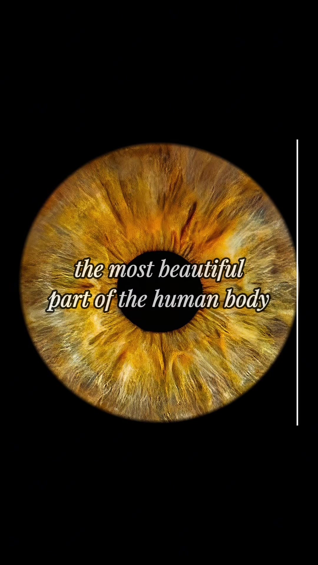 @Eyepic