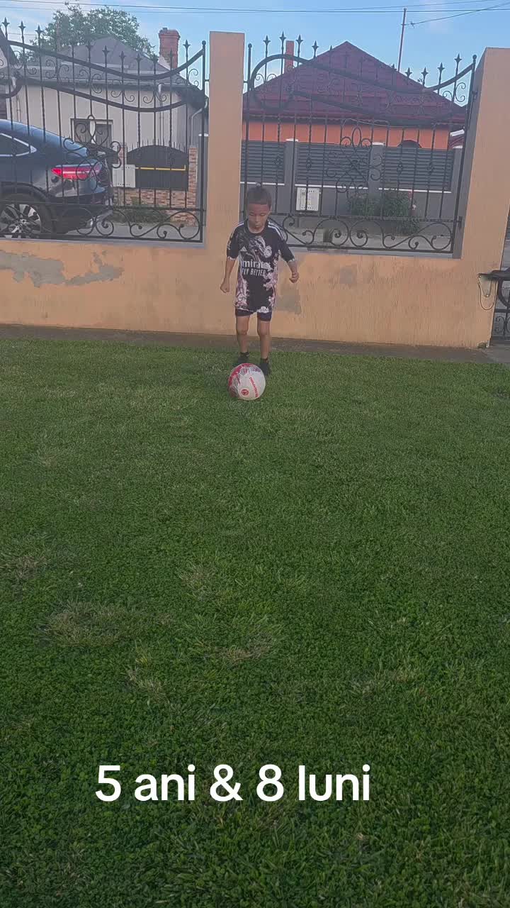 @Zian Leuţul Sudului