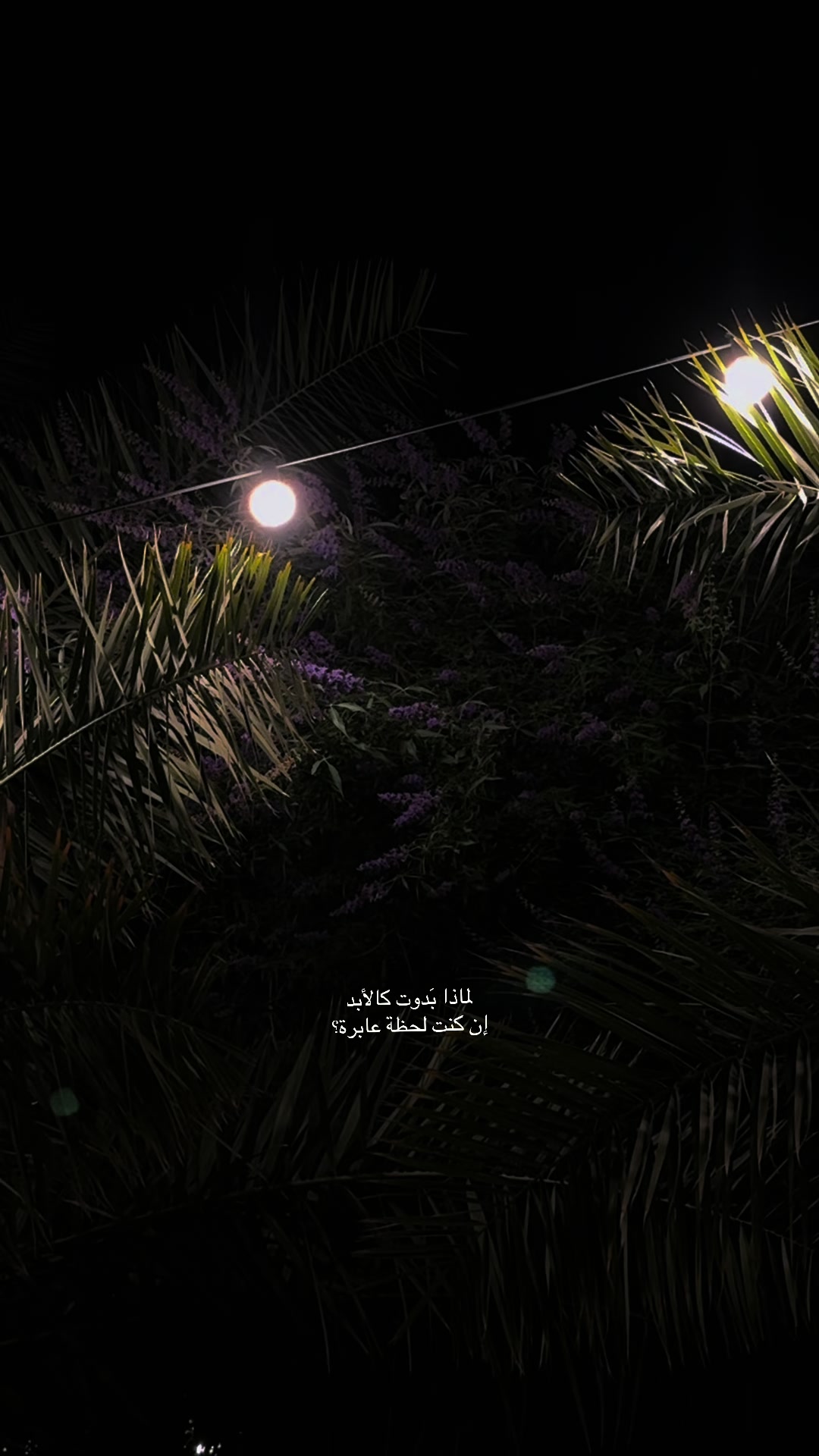 @SULTAN.A