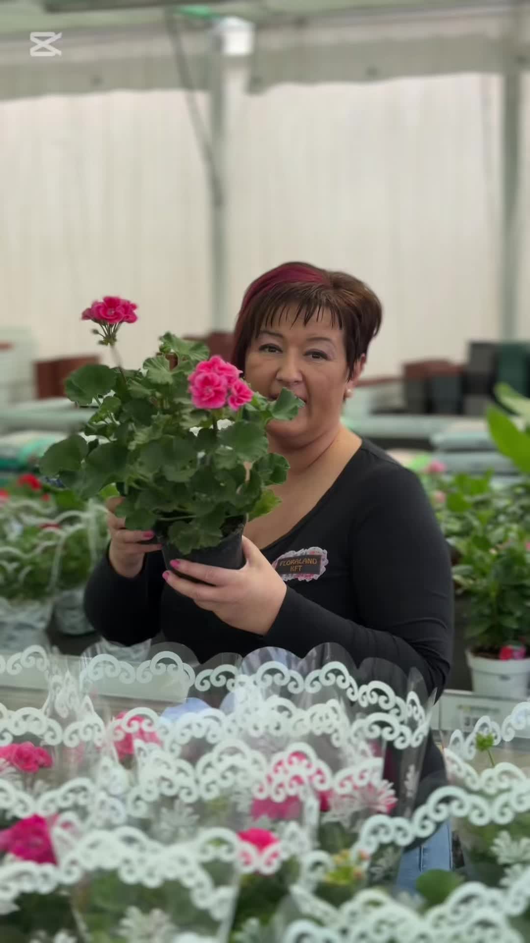 @FLORALAND-KFT