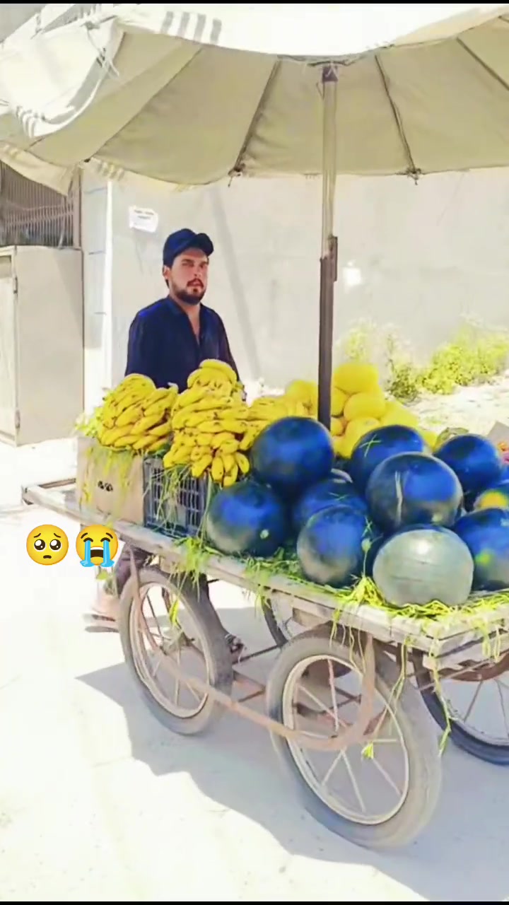 @Fruit Wala 🍎