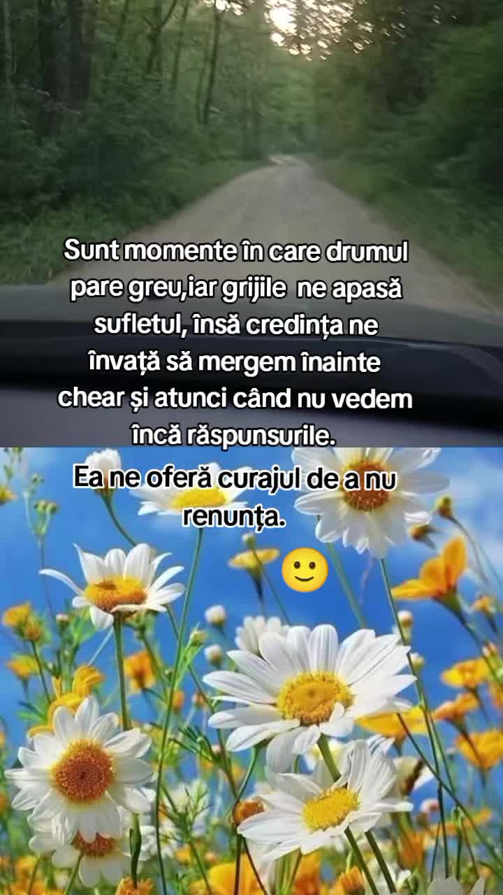 @Alina ๐๐ค๐๐