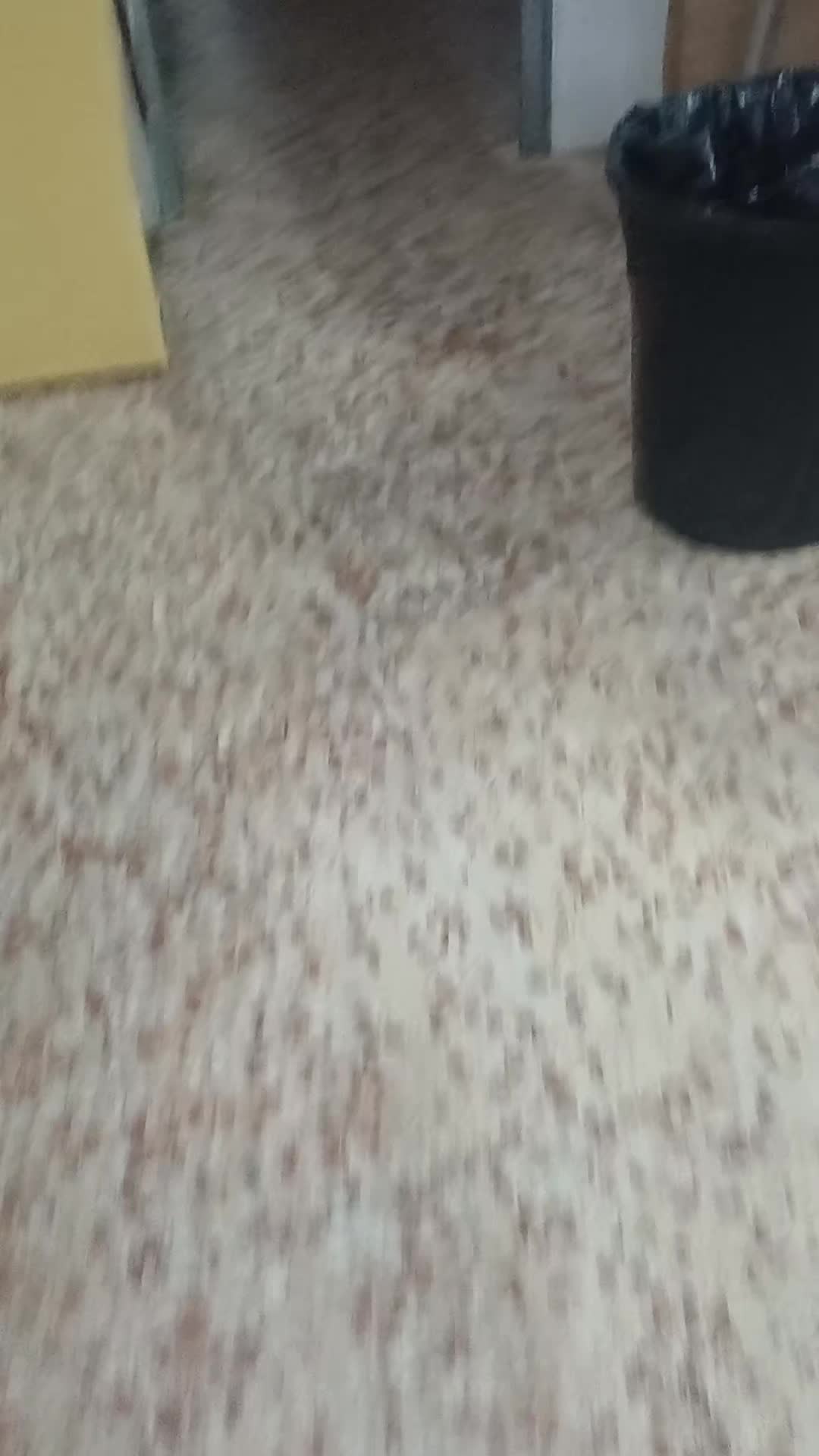 @lunatica
