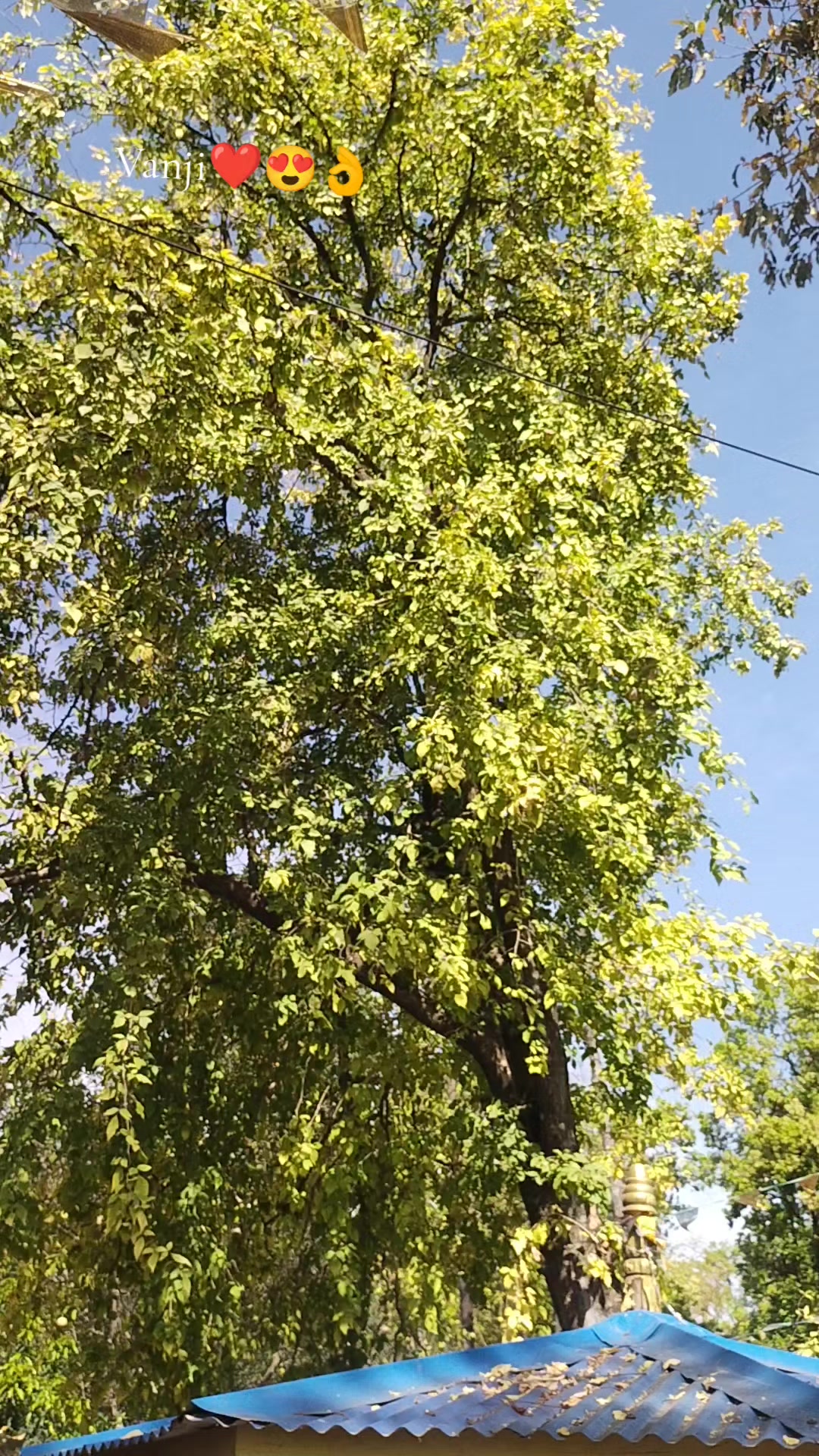 @indratiwari19
