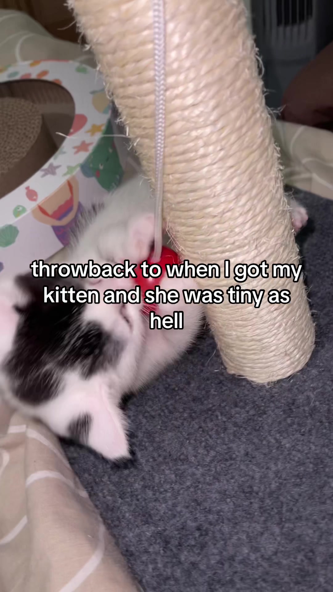@kingerandragathacatroleplaying