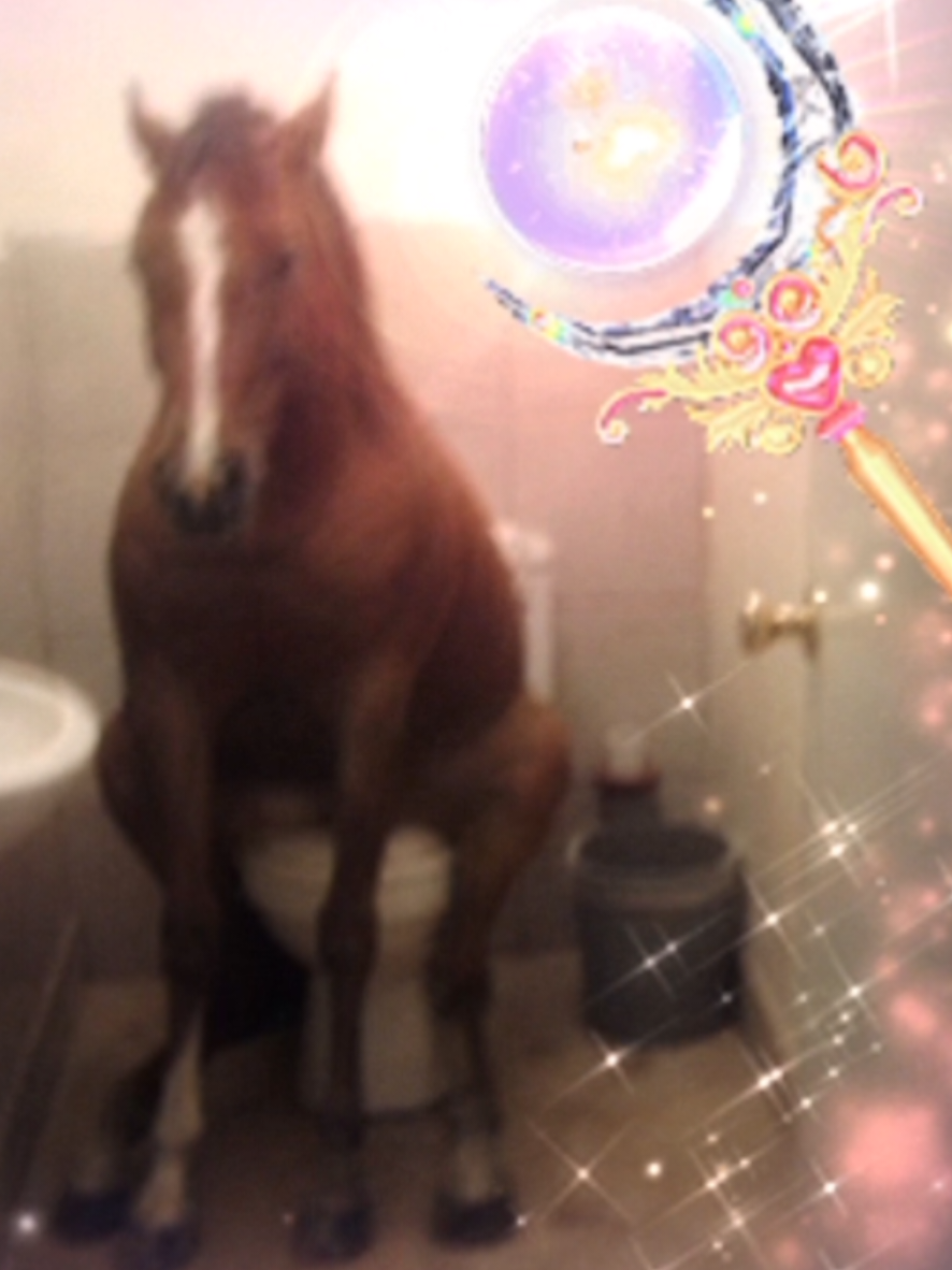@ʕ˶ᵔ ﻌ ᵔ˶ʔ ♡ ⋆。˚