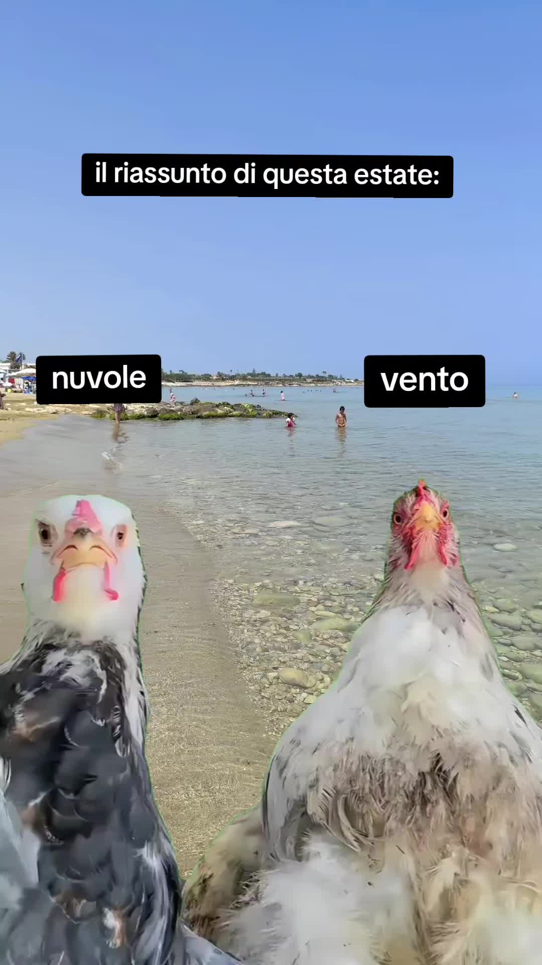 @Alessia Limpido