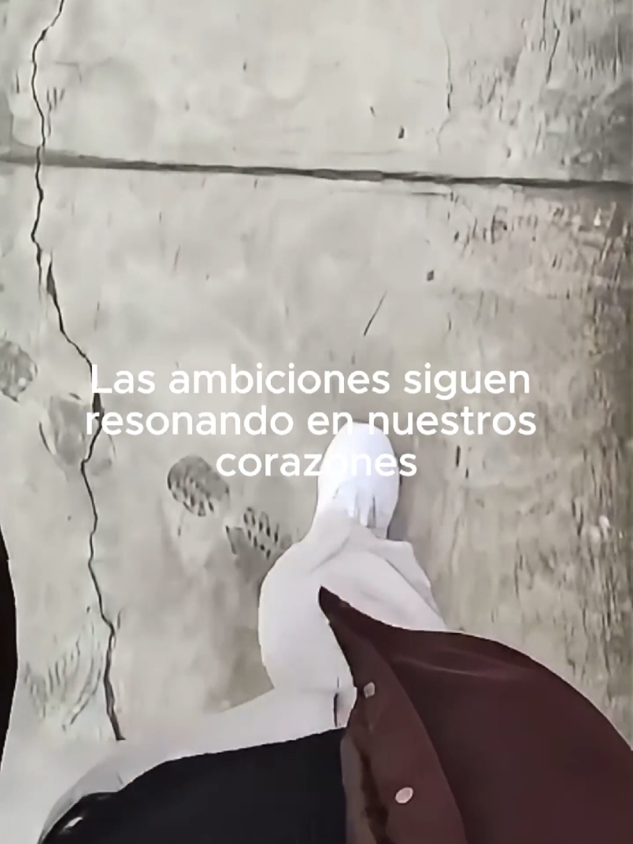 @Tamauta