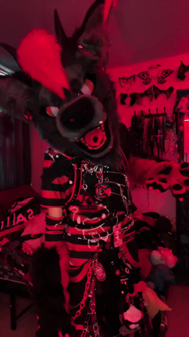 @𖤐 ʙʟᴠᴅʜᴠɴᴅ ៸៸ ⁺‧₊ 🥩🐾 .ᐟ.ᐟ