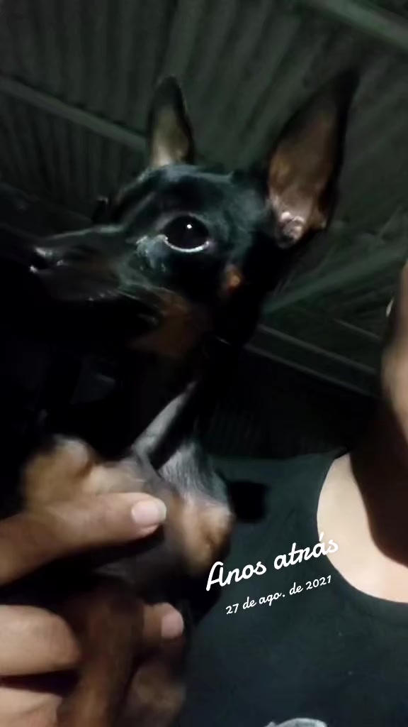 @princesa