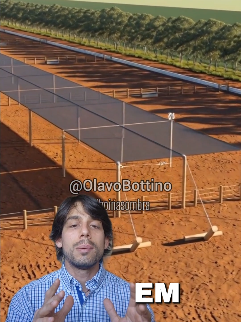 @Olavo Franco Bottino