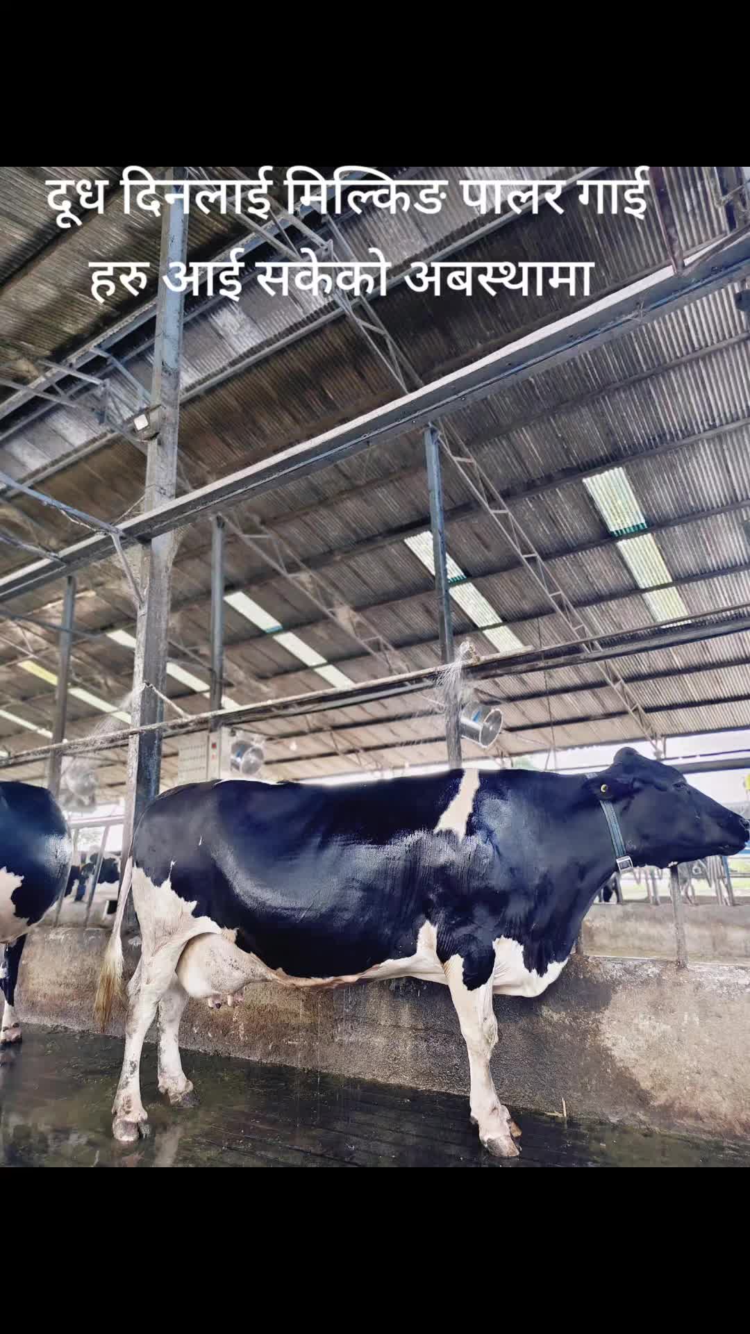 @Banjara Agro