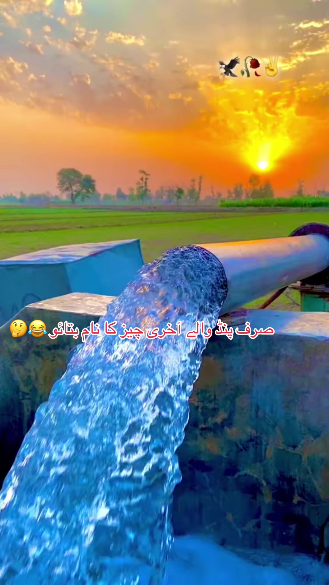 @میرا_سوہنڑا_پنڈ_مٹھہ لک 🔥