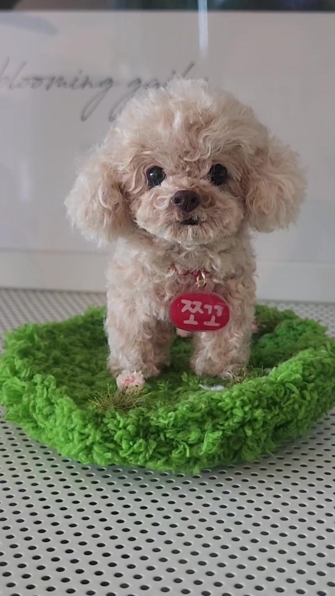 @초롱맘
