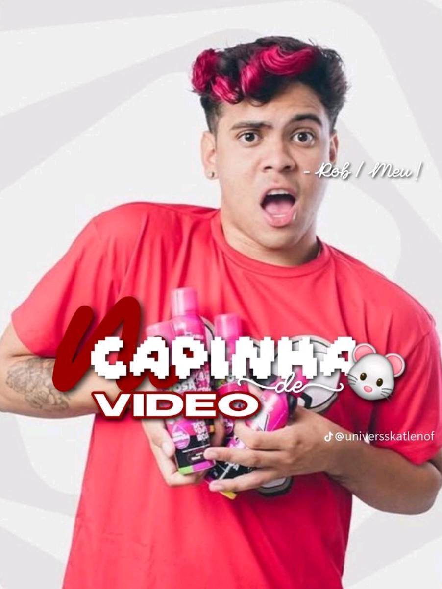 @‧₊ ᵎᵎ 🐁 ⋅ 𝓐na que ama rob ˚✮