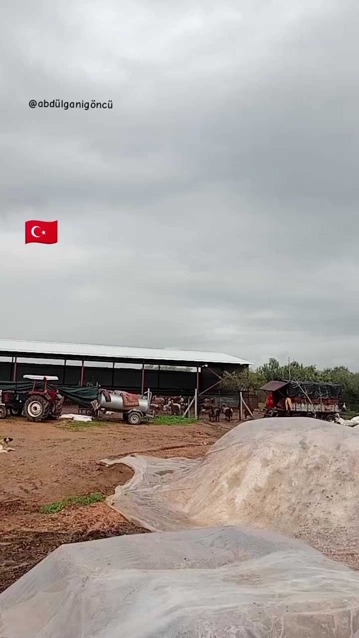 @yusuf göncü