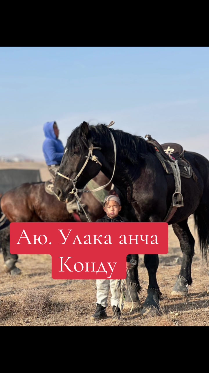 @Oskonbai Tajibaev