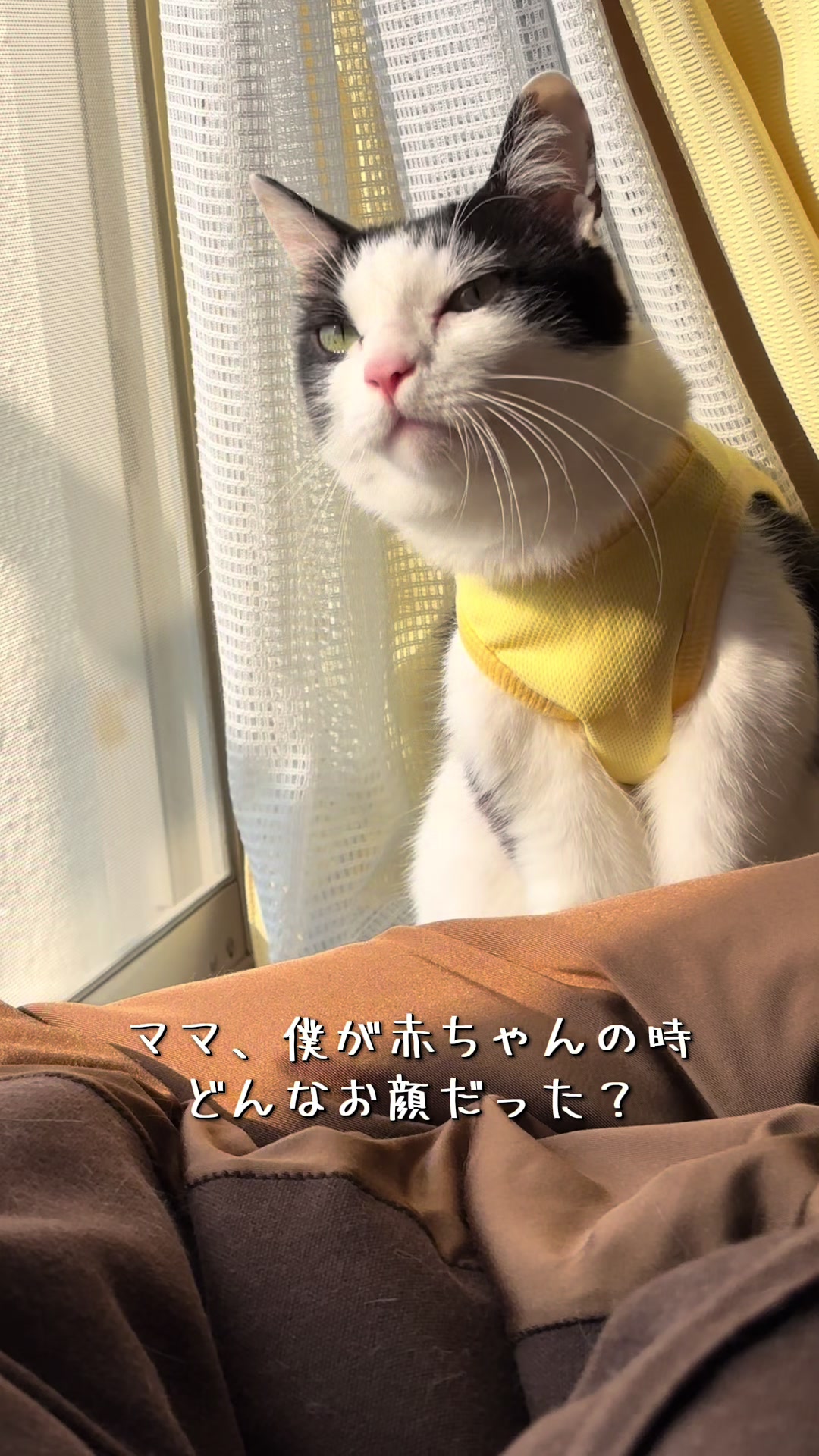 @陸丸 Rikumaru