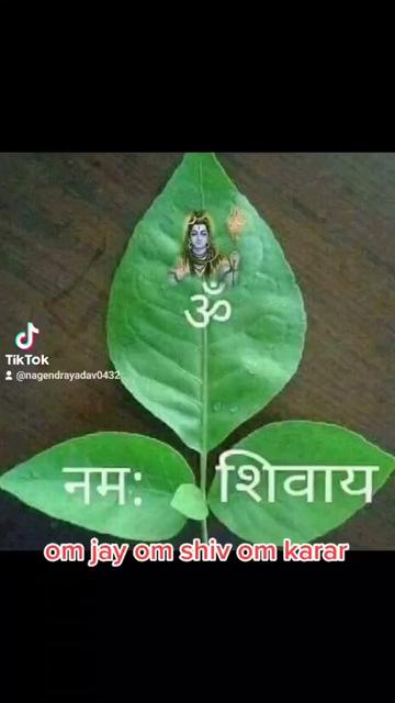 @NAGENDRA YADAV 432