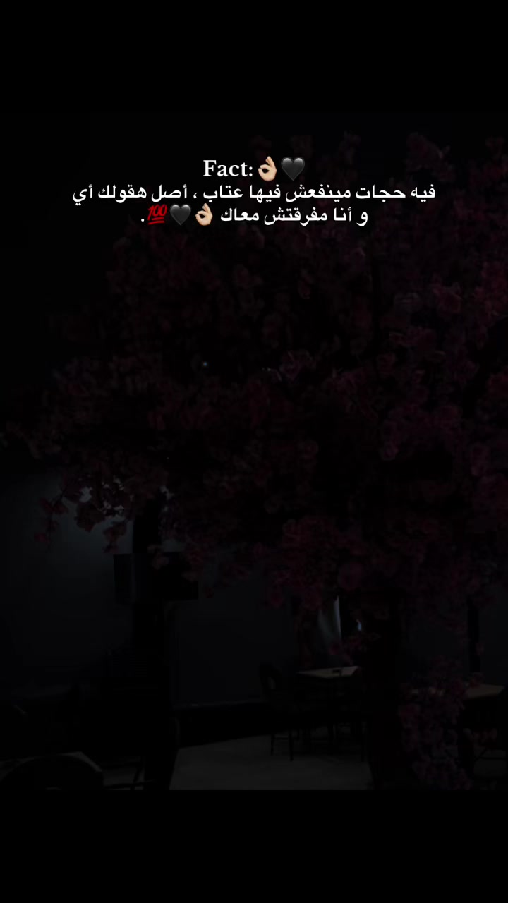 @محمد بو مفتآح لخرفي🇪🇬 515