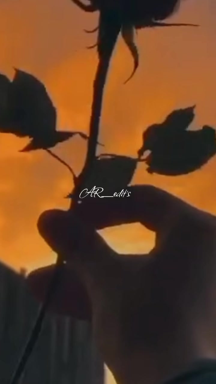 @๐จ๐น_๐๐
๐๐'๐๐
